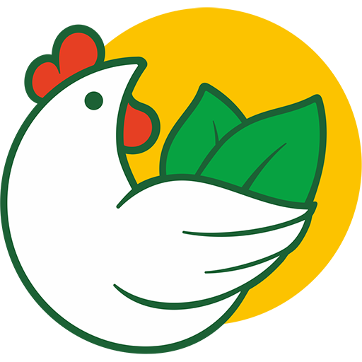 Чебаркульская птица